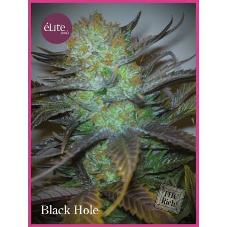 Black Hole