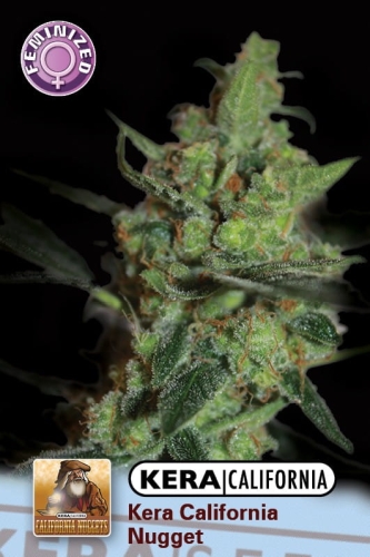 California Nugget
