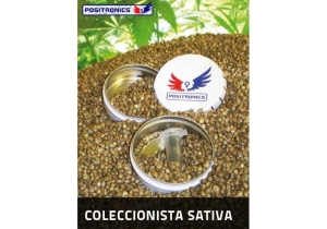 Sativa Collection od Positronics nasiona marihuany