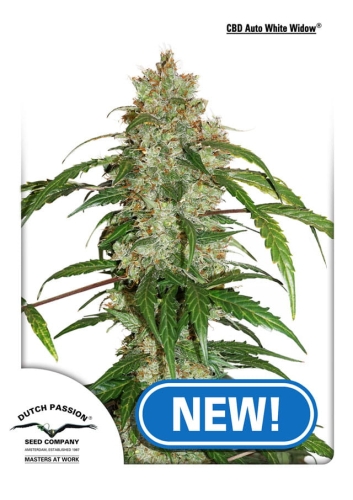 CBD Auto White Widow