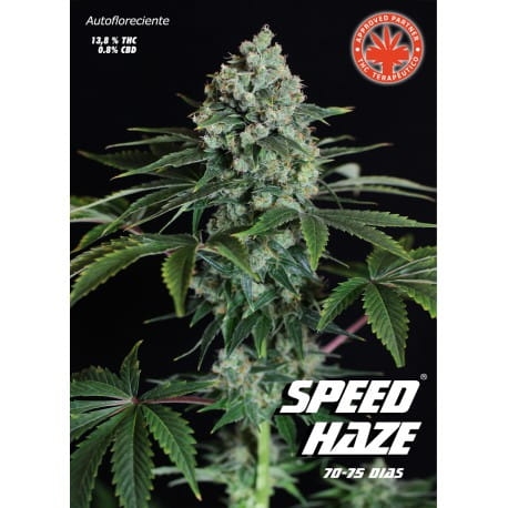 Speed Haze