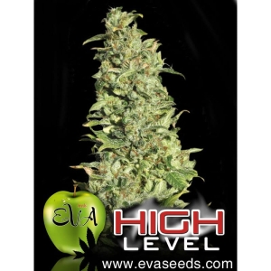 High Level od Eva Seeds nasiona marihuany