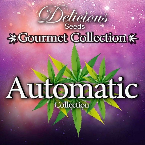 Gourmet Collection Automatic 2
