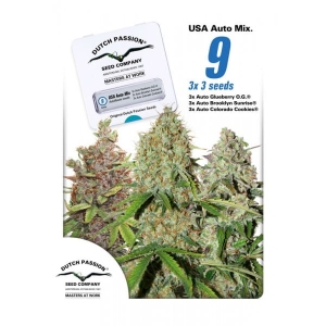 USA Auto Mix od Dutch Passion nasiona marihuany