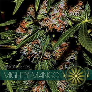 Mighty Mango Bud od Vision Seeds nasiona marihuany