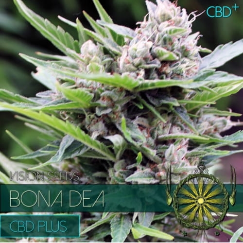 Bone Dea CBD+