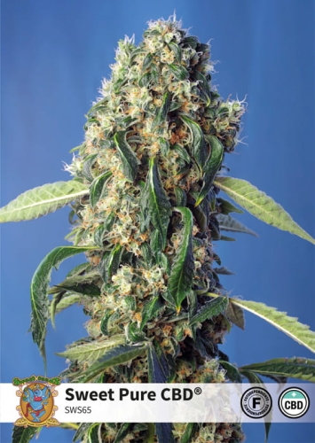 Sweet Pure CBD
