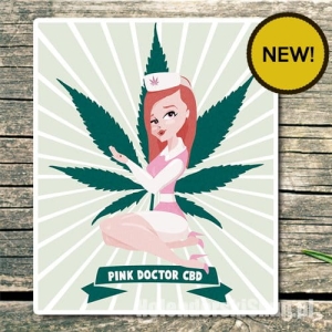 Pink Doctor CBD od Biological Seeds nasiona marihuany