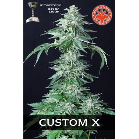 Custom X