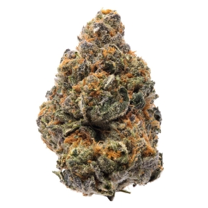 The New od Humboldt Seeds nasiona marihuany