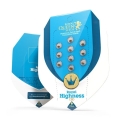 Royal Highness CBD
