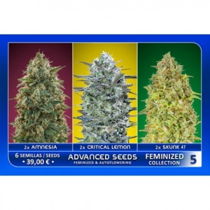 Feminized Collection #5 od Advanced Seeds nasiona marihuany