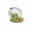 Gorilla Zkittlez - Susz CBD