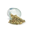 Royal Amnesia Haze CBD - Susz CBD