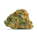 Gorilla Glue 