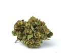 Blueberry auto