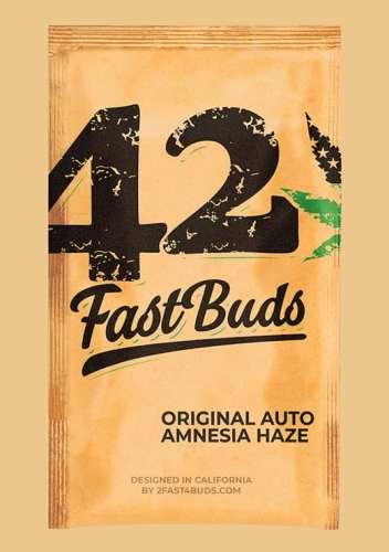 Original Auto Amnesia Haze