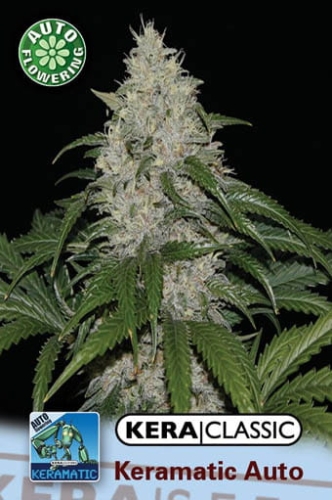 Keramatic Auto