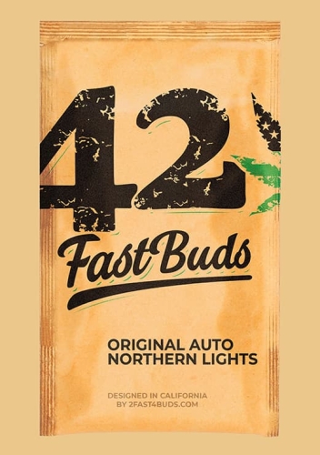 Original Auto Northern Lights