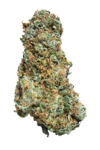 Big Bruce od MEGA BUDS nasiona marihuany