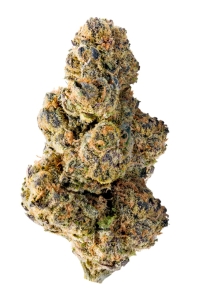 Colossal Purps od MEGA BUDS nasiona marihuany