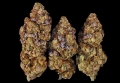Mimosa EVO