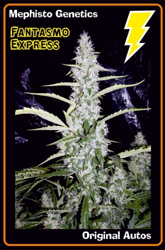 Fantasmo Express Auto
