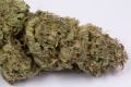 WHITE WIDOW