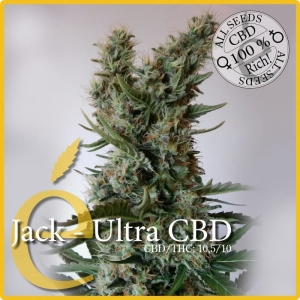 Jack CBD od Elite Seeds nasiona marihuany