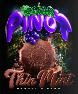 THIN MINT X SOUR PINOT AUTO  od Barney's Farm nasiona marihuany