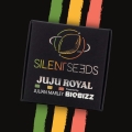 Jamaican Mountain by Julian Marley