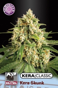 Skunk od Kera Seeds nasiona marihuany