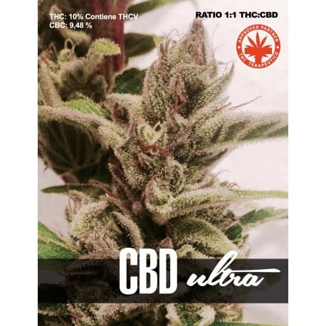 CBD