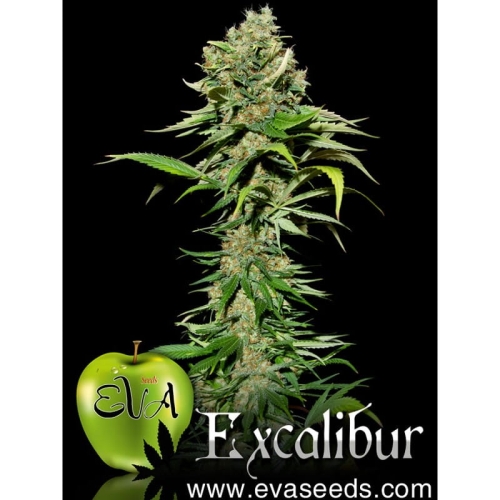 Excalibur