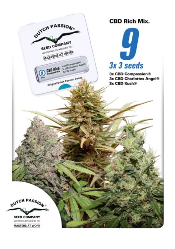 CBD Rich Feminized Mix