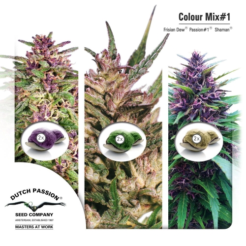 Colour Mix 1