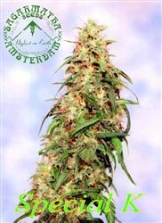 Special K od Sagarmatha nasiona marihuany