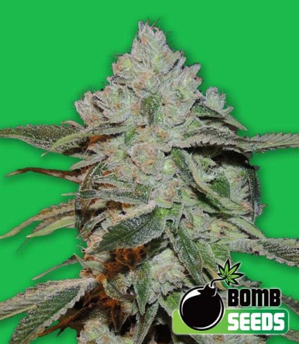 Atomic