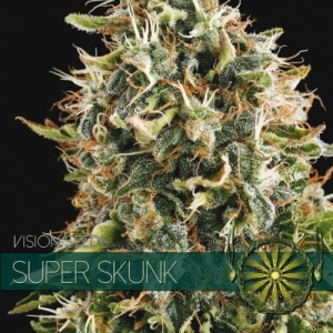 Super Skunk od Vision Seeds nasiona marihuany