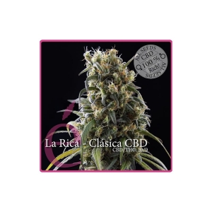 La Rica Classic CBD od Elite Seeds nasiona marihuany