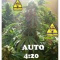 Auto 4:20