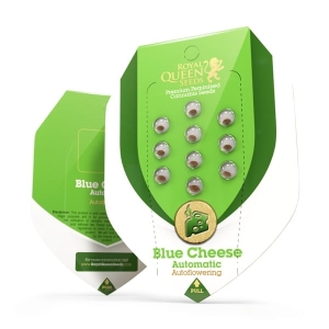 Blue Cheese Auto od Royal Queen Seeds nasiona marihuany