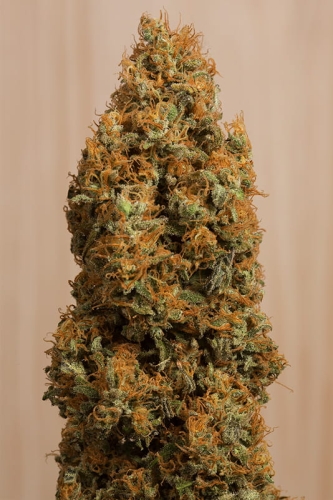 Green Crack CBD